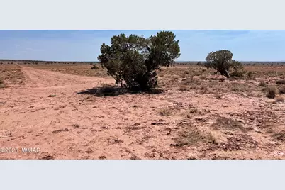 8191 E Concho Highway Parcel B, Unit Parcel B #Parcel B, Snowflake, AZ 85937 - Photo 1