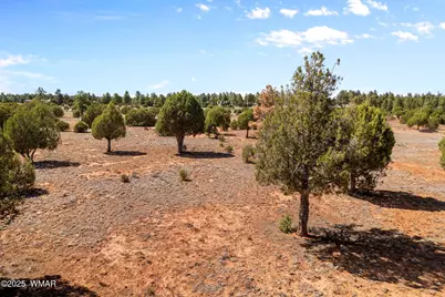 Xxxxx Iron Spur, Show Low, AZ 85901 - Photo 1