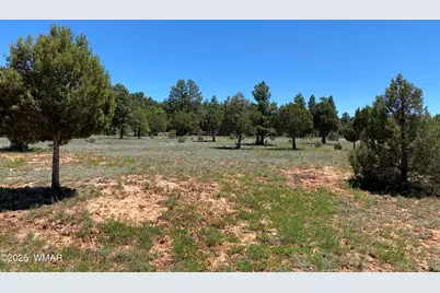 Xxxxx Iron Spur, Show Low, AZ 85901 - Photo 2