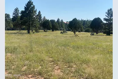 Xxxxx Iron Spur, Show Low, AZ 85901 - Photo 4