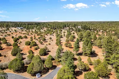 Xxxxx Iron Spur, Show Low, AZ 85901 - Photo 8