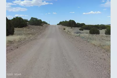 38 Gila Drive, Concho, AZ 85924 - Photo 18