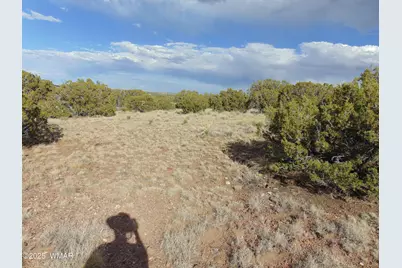 38 Gila Drive, Concho, AZ 85924 - Photo 16