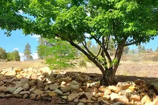 4520 Tatanka Loop Unit A4, Show Low, AZ 85901 - Photo 42