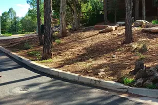 4520 Tatanka Loop Unit A4, Show Low, AZ 85901 - Photo 34