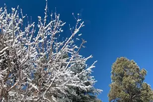 4520 Tatanka Loop Unit A4, Show Low, AZ 85901 - Photo 44