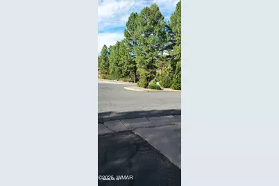 4520 Tatanka Loop, Unit A4 #A4, Show Low, AZ 85901 - Photo 38