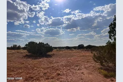 5184 Coyote Trail, Heber, AZ 85928 - Photo 32