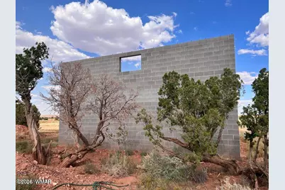 5184 Coyote Trail, Heber, AZ 85928 - Photo 16