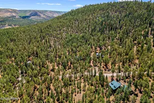 30 N1068, Greer, AZ 85927 - Photo 46