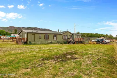 25350 Highway 191, Alpine, AZ 85920 - Photo 6