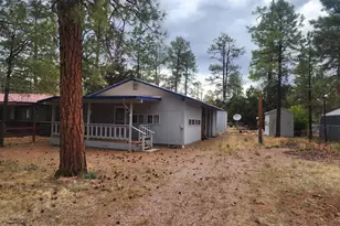 2052 Grey Squirrel Trail, Overgaard, AZ 85933 - Photo 16