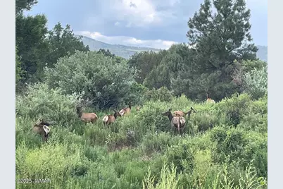 5 N3479, Vernon, AZ 85940 - Photo 16