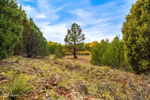 15 N3479, Vernon, AZ 85940 - Photo 14