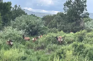 5 N3479, Vernon, AZ 85940 - Photo 22