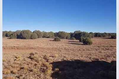 Lot 35 Cr 8281, Concho, AZ 85924 - Photo 2