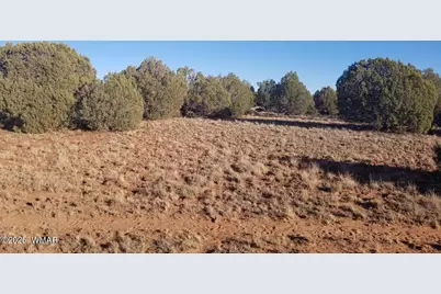 Lot 35 Cr 8281, Concho, AZ 85924 - Photo 4