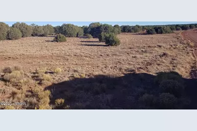 Lot 35 Cr 8281, Concho, AZ 85924 - Photo 6