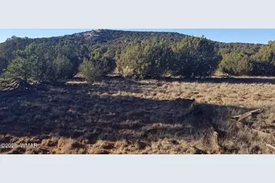 Lot 35 Cr 8281, Concho, AZ 85924 - Photo 1