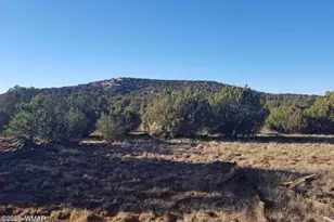 Lot 35 Cr 8281, Concho, AZ 85924 - Photo 1