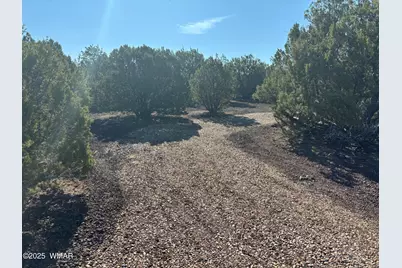 60 County Road 8140, Vernon, AZ 85940 - Photo 6