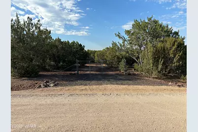 60 County Road 8140, Vernon, AZ 85940 - Photo 2