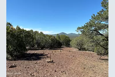 60 County Road 8140, Vernon, AZ 85940 - Photo 10