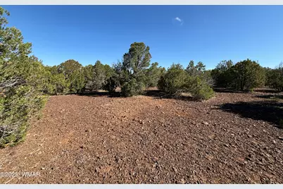 60 County Road 8140, Vernon, AZ 85940 - Photo 26