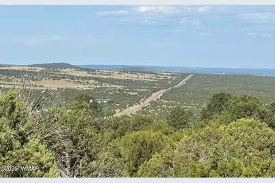 60 County Road 8140, Vernon, AZ 85940 - Photo 14