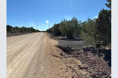 60 County Road 8140, Vernon, AZ 85940 - Photo 8