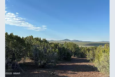 60 County Road 8140, Vernon, AZ 85940 - Photo 12