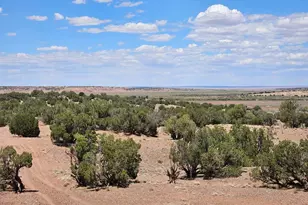 27 N 9183, Concho, AZ 85924 - Photo 1