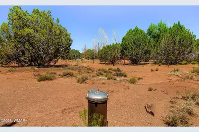 4 N County Road 5501, Concho, AZ 85924 - Photo 14