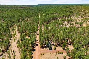 5533 Deer Run, Pinedale, AZ 85934 - Photo 4