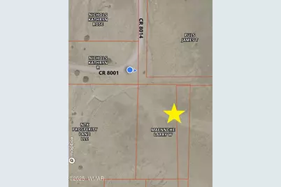 54 County Road 8001, Concho, AZ 85924 - Photo 1