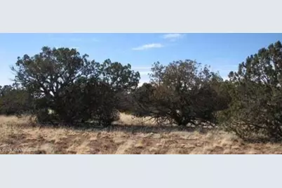 Tbd Chevelon Canyon Ranch Lot 363, Heber, AZ 85928 - Photo 2