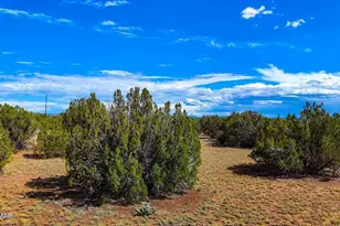 8730 Coronado Dr, Show Low, AZ 85901 - Photo 1