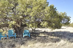 12 County Rd N8543, Concho, AZ 85924 - Photo 70