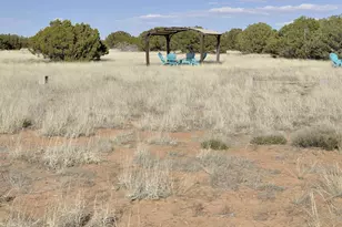 12 County Rd N8543, Concho, AZ 85924 - Photo 64