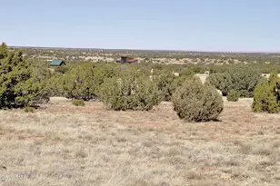 12 County Rd N8543, Concho, AZ 85924 - Photo 84