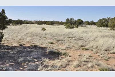 12 County Rd N8543, Concho, AZ 85924 - Photo 62