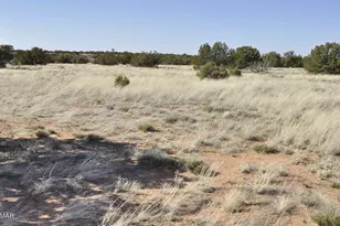 12 County Rd N8543, Concho, AZ 85924 - Photo 62