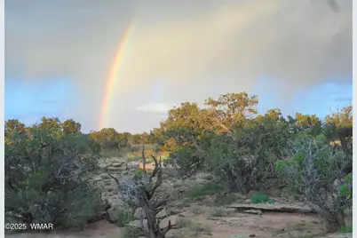 12 County Rd N8543, Concho, AZ 85924 - Photo 60