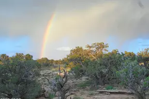 12 County Rd N8543, Concho, AZ 85924 - Photo 60