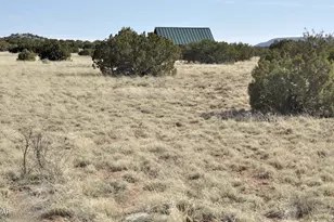 12 County Rd N8543, Concho, AZ 85924 - Photo 74