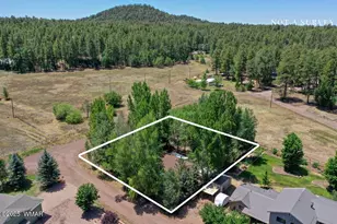 2412 S Joyce Ln, Pinetop, AZ 85935 - Photo 30