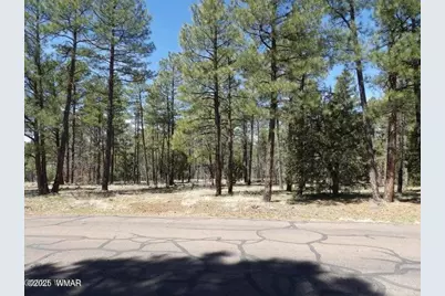 922 Pine Creek Drive, Lakeside, AZ 85929 - Photo 2