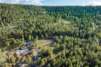 34 N 1330, Greer, AZ 85927 - Photo 4