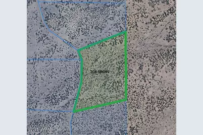 Lot 99 Woodland Valley Ranch, Saint Johns, AZ 85936 - Photo 1