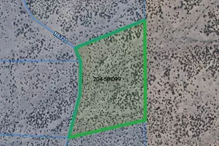 Lot 99 Woodland Valley Ranch, Saint Johns, AZ 85936 - Photo 1